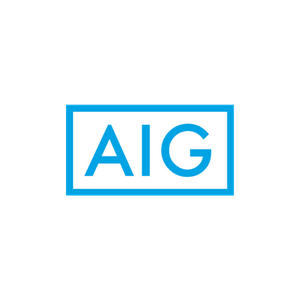 AIG 300 x 300